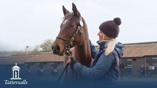 Tattersalls December Foal Sale 2022, Day 2 Review