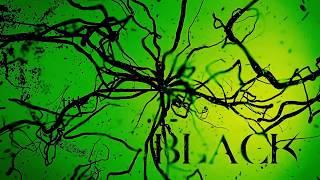Michael Romeo - Black (Official Lyric Video)