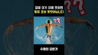 접영 이거 이해 못하면 평생 초보 못벗어납니다