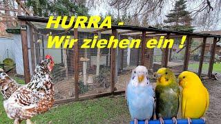 Voliere Vögel & Hühner ziehen ein !