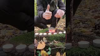 Bushcraft Skills #bushcraft #survival #camping #outdoors