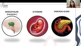 A case of Diabetes Mellitus - Br Dr Simran Shaikh