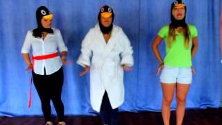 Mini Disco - Le  Pingouin Judoka