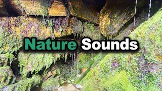 Unwind with Nature: Relaxing Water Splashing Sounds - 1 Hour