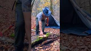 cooking #bushcraft #nature #shorts #survival #chef #jungle #wood #camping #outdoors #fall