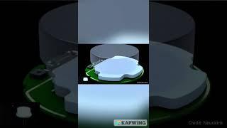 Tech News | Elon Musk Unveils Neuralink Brain Computer Interface