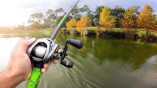 INSANE Day of Bass Fishing (Lake Fishing)