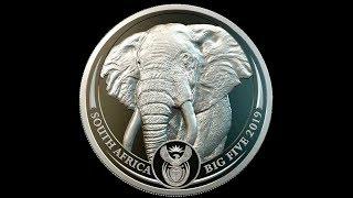 2019 SOUTH AFRICAN BIG FIVE ELEPHANT 1 OZ PLATINUM PROOF COIN