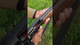 semi automatic 12 bore gun fire #shortvideo