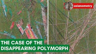 The Curious Case of the Disappearing Polymorph