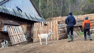 The Beginning of Winter in the Carpathian Mountains and an Old Recipe for Homemade Butter