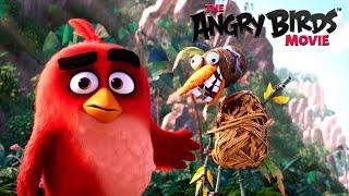 Green Piggies Destroy Red's House | The Angry Birds Movie (2016)