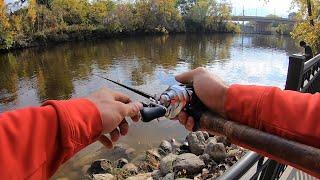 Midland River Fishing BIG Smallmouth Bass