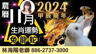 2024農曆十一月，丙子月，12生肖運勢大解析（兔、龍、蛇）【林海陽】_20241122