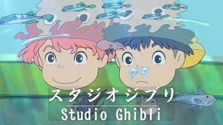 Calm Melodies for a Peaceful Day Studio Ghibli BGM Music  Ghibli Songs 2024