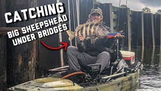 Catching BIG SHEEPSHEAD under Bridges | Gulf Shores Alabama Kayak Fishing