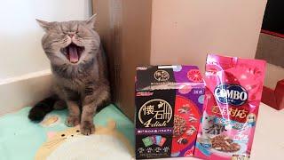 貓星人多多三款不同零食會選擇那一款呢？Three different cat treats which one would More More Kitty Like?