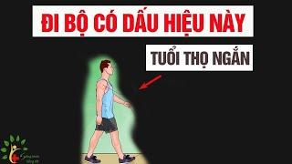 Tuổi thọ ngắn nếu đi bộ có dấu hiệu này - SKST