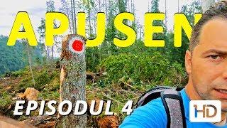 TAIERI DE PADURI pe traseu: CIRCUITUL CHEILE SOMESULUI CALD - Ep. 4 - Parcul Natural Apuseni