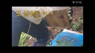토종벌.마지막 계상.더이상하지말자.힘들다