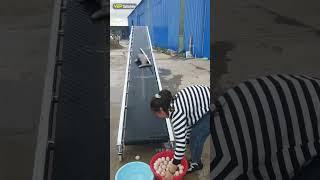 Relaxing clips on VBP Satisfying channel P.284 #shorts #satisfying