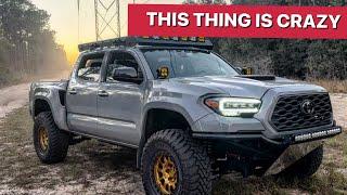 IS THIS THE PERFECT TACOMA?