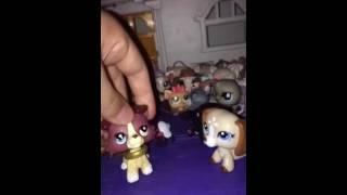 For my bff Lps snowy sparkleTM
