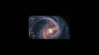 The Fibonacci Sequence