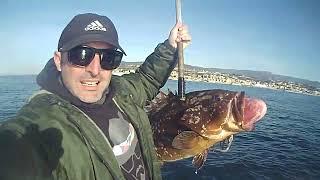 Pesca alla Cernia con il polpo - Stretto di Messina