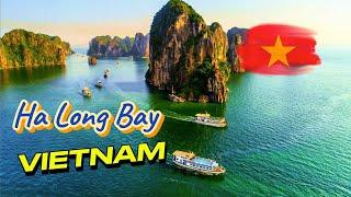 Life In Vietnam From Canada/  Ha Long Bay Town Life