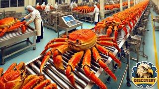 How King Crab Is Processed? AMAZING King Crab Catching  Captain Discovery