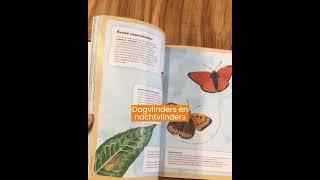 Handboek voor vlinderfans