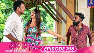 Sansare - සංසාරේ || Episode 198 || 01st November 2024 || Siyatha TV #teledrama