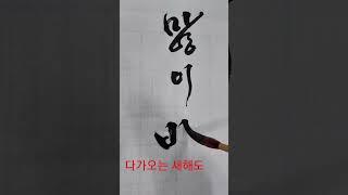새해 인사