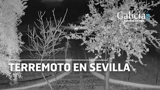 Una cámara graba el momento exacto del terremoto de Sevilla: "Se nos ha hecho muy largo"