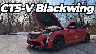 CSP CT5-V Blackwing Makes 800+RWHP with 3 Mods!