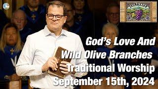 God’s Love And Wild Olive Branches - Traditional Worship for 9:00am September 15th, 2024