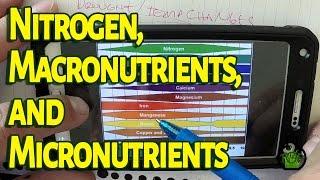 Nitrogen, Macronutrients, and Micronutrients - The Grass Factor