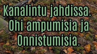 Kanalintu jahdissa. Ohi ampumisia ja Onnistumisia.