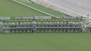 2023 MEGURO KINEN (G2) | JRA Official