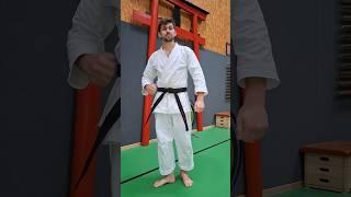 Shaolin How to tie your belt Part 2 by Dennis Kempo #kungfu #shaolinkempo #bjj #jiu #fightingsport