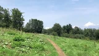 Hiking in Alborz mountains