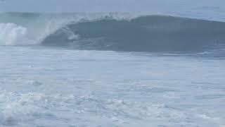 Surf Horseshoe 2024-12-22