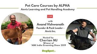 Pet Care Courses by ALPHA Anvis Learning and Pet Handling Academy