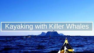 Kayaking with Orca, Killer Whales, in Lofoten, Norway