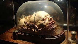 Creepy Museums That Hold Cursed Objects