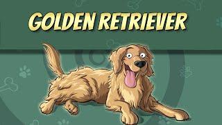 The Golden Retriever