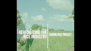 CARONI RICE PROJECT UPDATE: Minister Kazim Hosein Tours Rice Revitalization Project