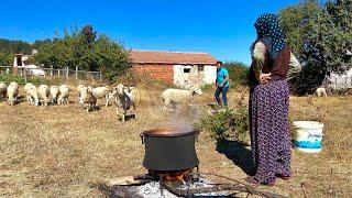 Hard Village Life of a Family Living in a Mountain Village. Documentary