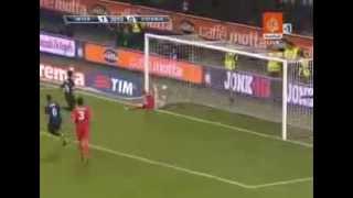 Wesley Sneijder Goal (Inter - Catania 24-10-2009)